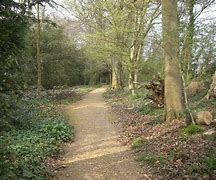 Image result for Choosing Difficult Path