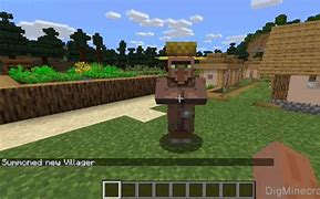 Image result for How to Summon a Villager with Protection 4