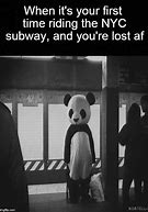 Image result for Funny New York Pictures