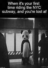 Image result for New York Funny Memes