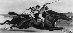 Image result for Horse racing