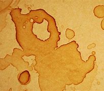 Image result for Coffee Spill On Floor