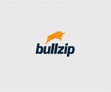 Image result for Bullzip Logo