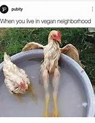 Image result for Cute Chicken Memes