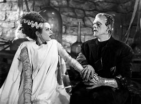 Image result for picture bride frankenstein