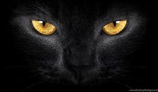 Image result for Kindle Fire Black Wallpaper