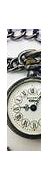 Image result for Dials for Rotary Pocket Watch