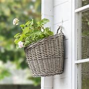Image result for Willow Hanging Basket