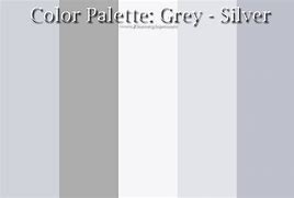 Image result for Silver Grey Color