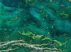 Image result for Neon Green Marble Wallpaper