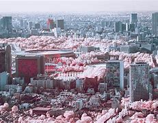 Image result for Japan Infrared Photos