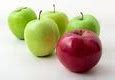 Image result for Are Apples Good for People On a Diet