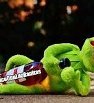 Image result for Kermit Puns Clean