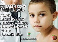 Image result for GMO Processed Foods