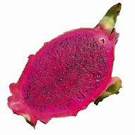 Image result for Red Dragon Fruit