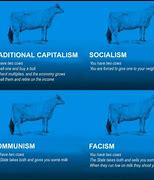 Image result for Cow Capitalist