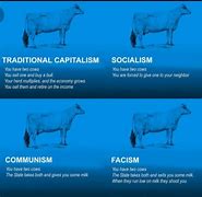 Image result for Political Meme Cow