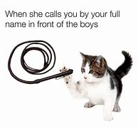 Image result for Chain Whip Meme