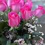 Image result for Dozen Pink Roses