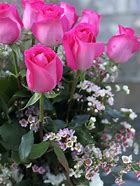 Image result for Dozen Pink Roses