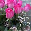 Image result for Dozen Long Stem Roses