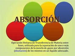 Image result for absorbimiento