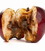 Image result for Half-Eaten Apple Rotten