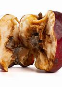 Image result for Rotten Apple Core