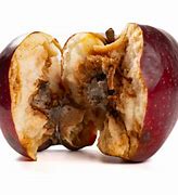 Image result for Rotten Apple Core