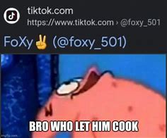 Image result for Who Let Bro Cook Cat Meme
