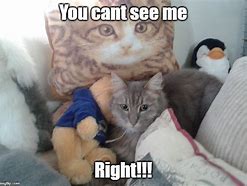 Image result for can t wait to see you memes cats