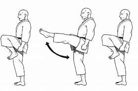 Image result for Karate Moves Step by Step