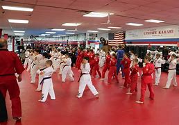 Image result for UFC Upstate Karate Family Martial Arts Center