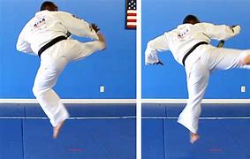 Image result for Karate Kick Martial Arts