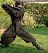 Image result for Modern Ninja Gear