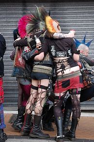 Image result for Punk Rock Costume
