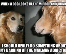 Image result for Dog with Phone Meme in Mirror