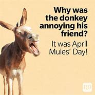 Image result for Best April Fools Jokes