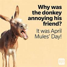 Image result for Funny April Fools