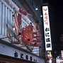 Image result for Osaka Night Time Photography