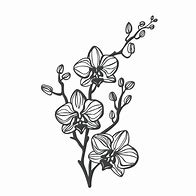 Image result for Orchard Flowers SVG