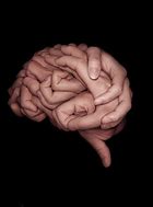 Image result for Holding a Brain Art