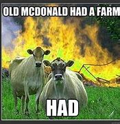 Image result for Cow Boy Cow Meme