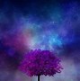 Image result for Beautiful Home Screen Android Wallpaper