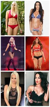 Image result for Nikki Bella and Maryse Ouellet