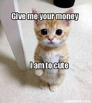 Image result for Give Me Yourt Money