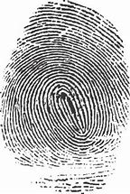 Image result for Fingerprint iPhone PNG