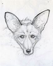 Image result for Animal Drawing Challenge