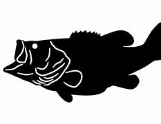 Image result for White Bass Fish Silhouettes