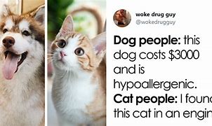 Image result for Dog Cat People Meme